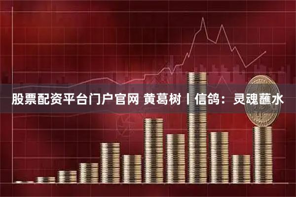 股票配资平台门户官网 黄葛树丨信鸽：灵魂蘸水