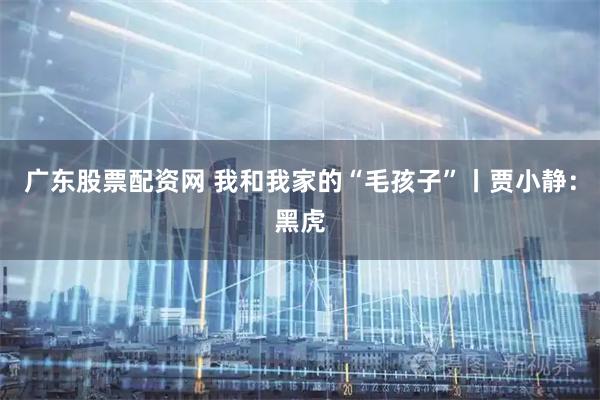 广东股票配资网 我和我家的“毛孩子”丨贾小静：黑虎